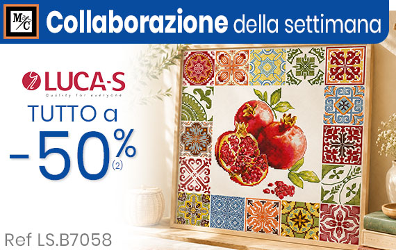 Collaborazione Collaborazione Luca-S