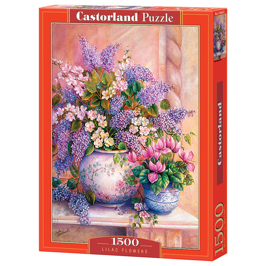 Puzzle 1500 pièces : Gosausee, Haute-Autriche - Castorland - Rue des Puzzles