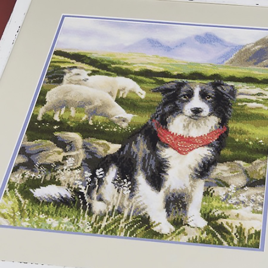 Schema per punto croce di un Border Collie, ricamo natalizio per cani, file PDF, schema a punto croce contato - Italia