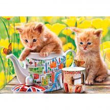Castorland puzzle Cat Bus Travel - puzzle 1000 pièces