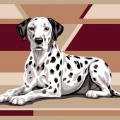 Canovaccio antico - Margot de Paris - Dalmata - con matassine MOULINE DMC