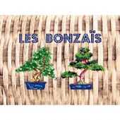 kit ricamo a punto croce - Marie Coeur - Cuscino da ricamare I bonsai