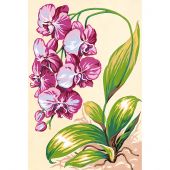 Canovaccio antico - SEG de Paris - L'orchidea
