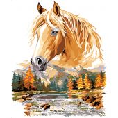 Canovaccio antico - SEG de Paris - Cavalleresco - con matassine MOULINE DMC