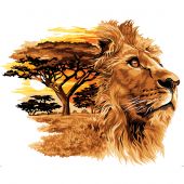 Canovaccio antico - SEG de Paris - Il Re - con matassine MOULINE DMC