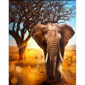 Kit ricamo diamante - Diamond Painting - Elefante africano