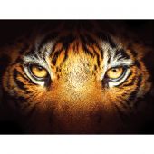 Kit ricamo diamante - Diamond Painting - lo sguardo della tigre