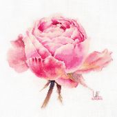 Kit Punto Croce - Alisa - Rosa squisita