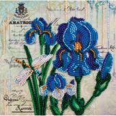 Kit di ricamo con perline - Abris Art - Iris blu oltremare