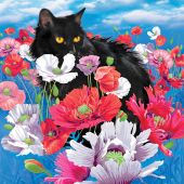 Kit ricamo diamante - Collection d'Art - Gatto tra i papaveri