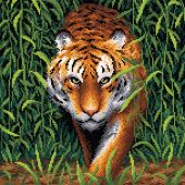 Kit ricamo diamante - Collection d'Art - Tigre nella giungla