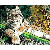 Canovaccio antico - Collection d'Art - Lince della foresta