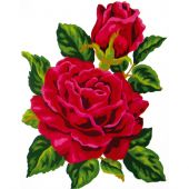 Canovaccio antico - Collection d'Art - Rosa Rosso
