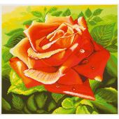 kit ricamo a punto croce - Collection d'Art - Rosa Rosso