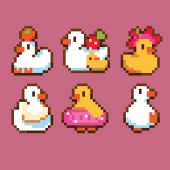 Kit magnete per ricamo - Canevas Fatal - Anatre