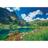 puzzle - Castorland - Paesaggio polacco - 500 pezzi