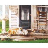 Kit di pittura per numero - Dimensions - Giorno del cane pigro