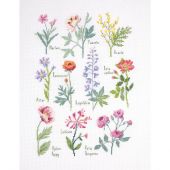 kit ricamo a punto croce - DMC - Tabella botanica
