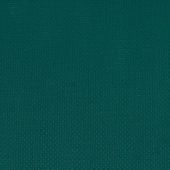 Tela da ricamo in tassello - DMC - Tela verde Aïda 5.5 - Charles Craft