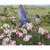 kit ricamo a punto croce - Nova Sloboda - Rondine