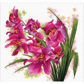 kit ricamo a punto croce - Ladybird - Bellissime orchidee
