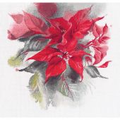 kit ricamo a punto croce - Oven - Poinsezia