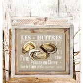 Foglio di punto croce - Isabelle Haccourt Vautier - Un giorno così bello - con matassine MOULINE DMC