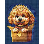 kit ricamo a punto croce - RTO - Sorpresa per te - Barboncino