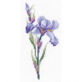 kit ricamo a punto croce - RTO - Iris