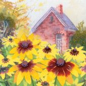 Kit di punti da ricamo - Riolis - Rudbeckias nel giardino