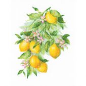 Kit Punto Croce - Riolis - Limoni brillanti