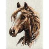 kit ricamo a punto croce - Riolis - Orgoglio