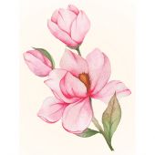 Kit ricamo diamante - Wizardi - Magnolia in fiore