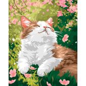 Kit di pittura per numero - Wizardi - Piacere