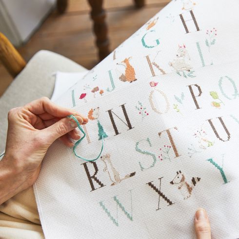ABEUTY Kit Punto Croce Aquila Dei Cartoni Animati: Tela 40x30cm, Fili E Istruzioni, Scegli La Versione Stampata O Non Timbrata