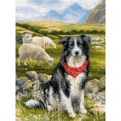 Kit Broderie Point De Croix 'A Happy Border Collie' - 150 X 112 Points 26 X 20 Cm