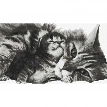 kit ricamo a punto croce - Marie Coeur - Gatto e il suo gattino