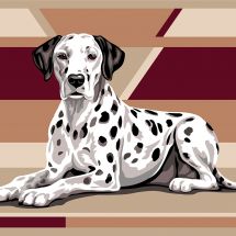 Canovaccio antico - Margot de Paris - Dalmata - con matassine MOULINE DMC