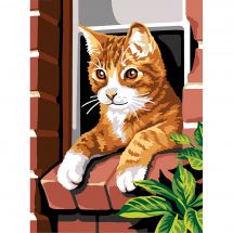 Canovaccio antico - Margot de Paris - Gatto rosso