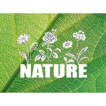Kit Punto Croce - Marie Coeur - Natura (fiore)