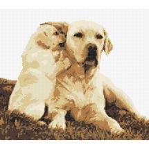 Kit Punto Croce - Marie Coeur - Labrador e il suo cucciolo