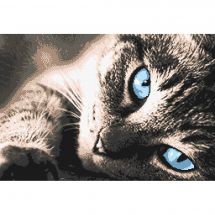 Kit Punto Croce - Marie Coeur - Gatto tigrato
