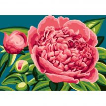 Canovaccio antico - Luc Créations - Peonie