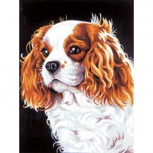 Canovaccio antico - Margot de Paris - Il cavalier king charles