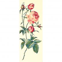 Canovaccio antico - SEG de Paris - Rose