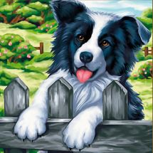 Kit ricamo diamante - Diamond Painting - Border collie