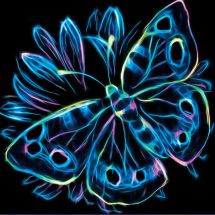 Kit ricamo diamante - Diamond Painting - Farfalla
