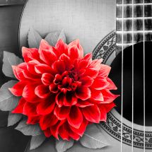 Kit ricamo diamante - Diamond Painting - Fiore e chitarra