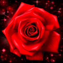 Kit ricamo diamante - Diamond Painting - Rosa frizzante