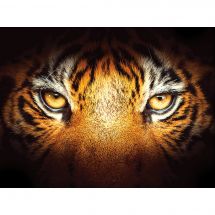 Kit ricamo diamante - Diamond Painting - lo sguardo della tigre